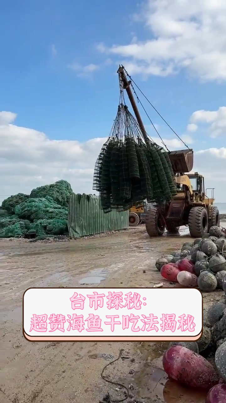 台市探秘:超赞海鱼干吃法揭秘