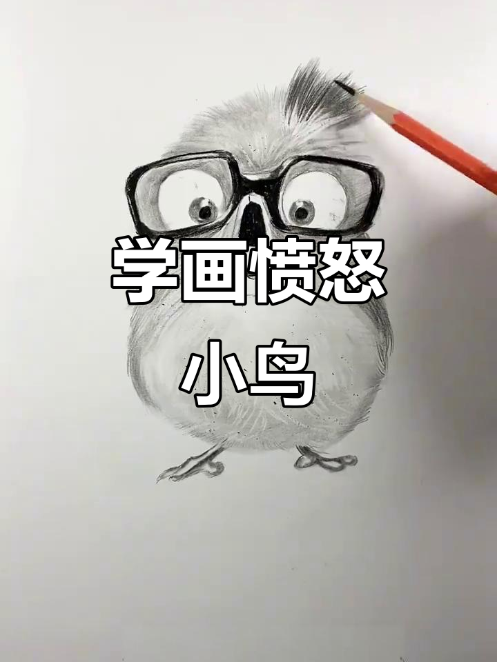 画一只愤怒的小鸟,步骤简单又有趣