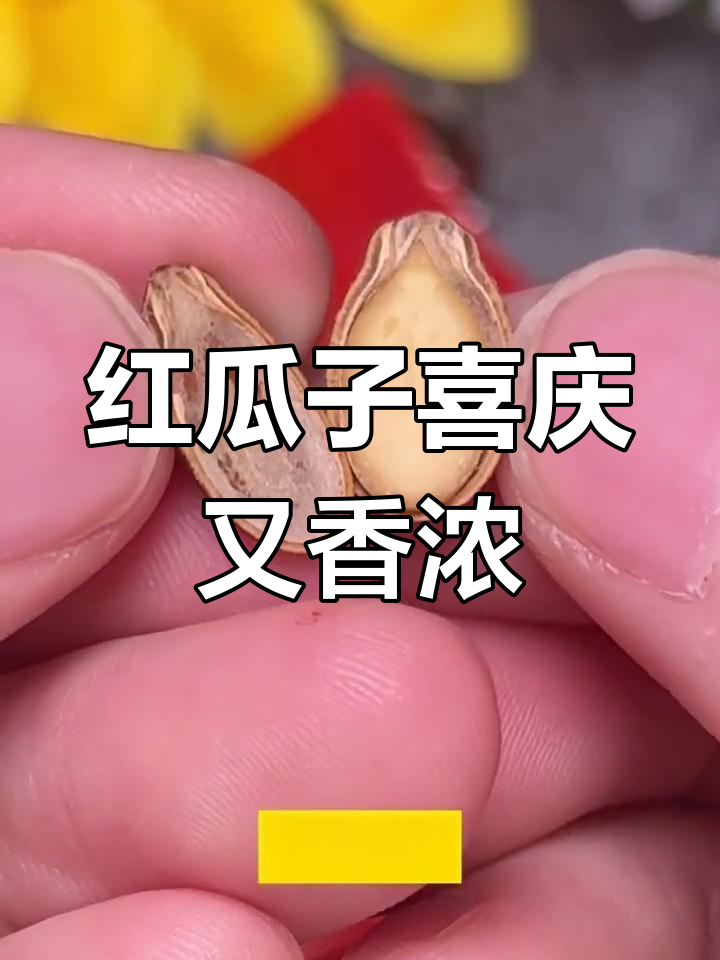 过年才能吃到的红瓜子,天然美味