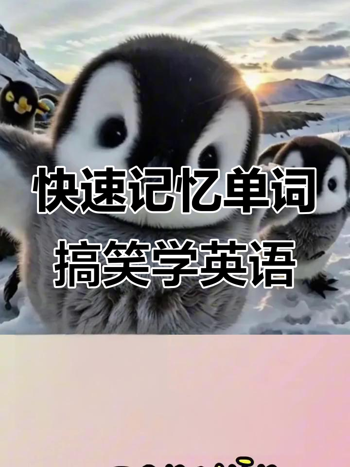 趣味记单词，爆笑学英语！企鹅、海豹和驴子带你轻松记住词汇