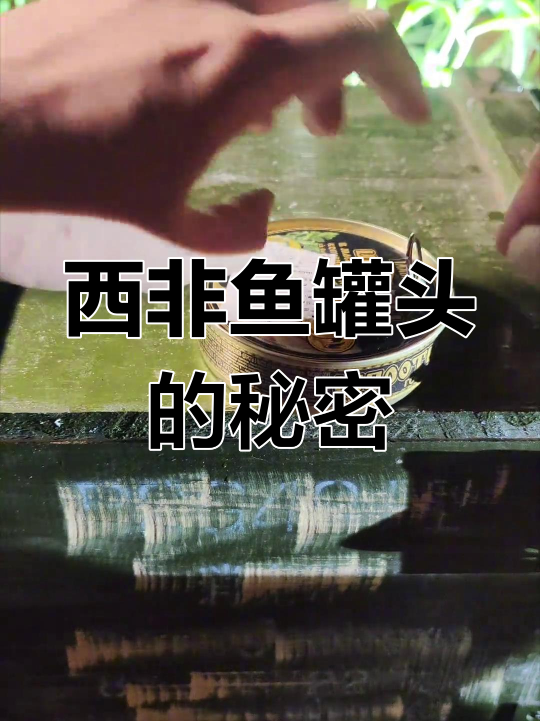 俄罗斯西鲱鱼罐头,逃离塔科夫同款生存装备