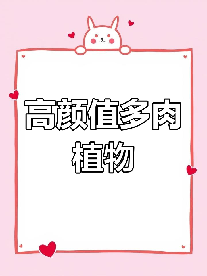 玫瑰红多肉,颜值超高的老桩品种