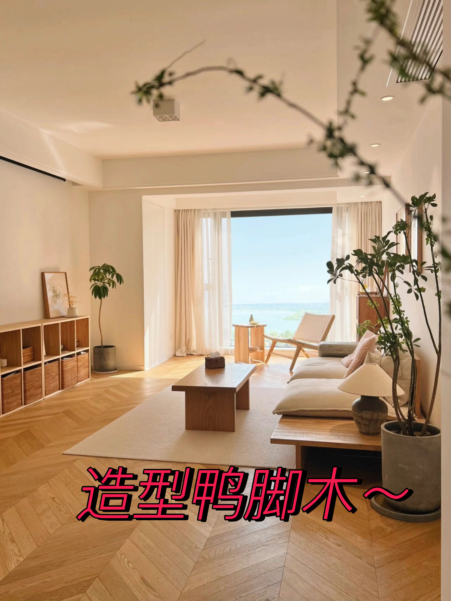 造型鸭脚木～八方来财