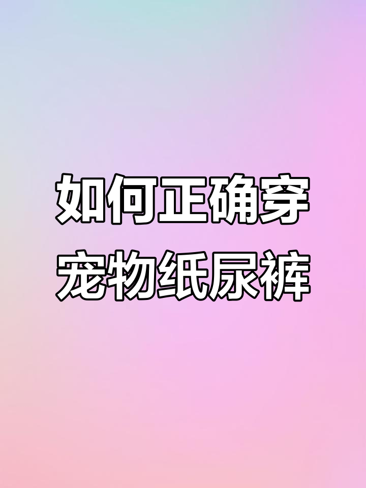 宠物纸尿裤穿戴技巧，公犬女犬全攻略