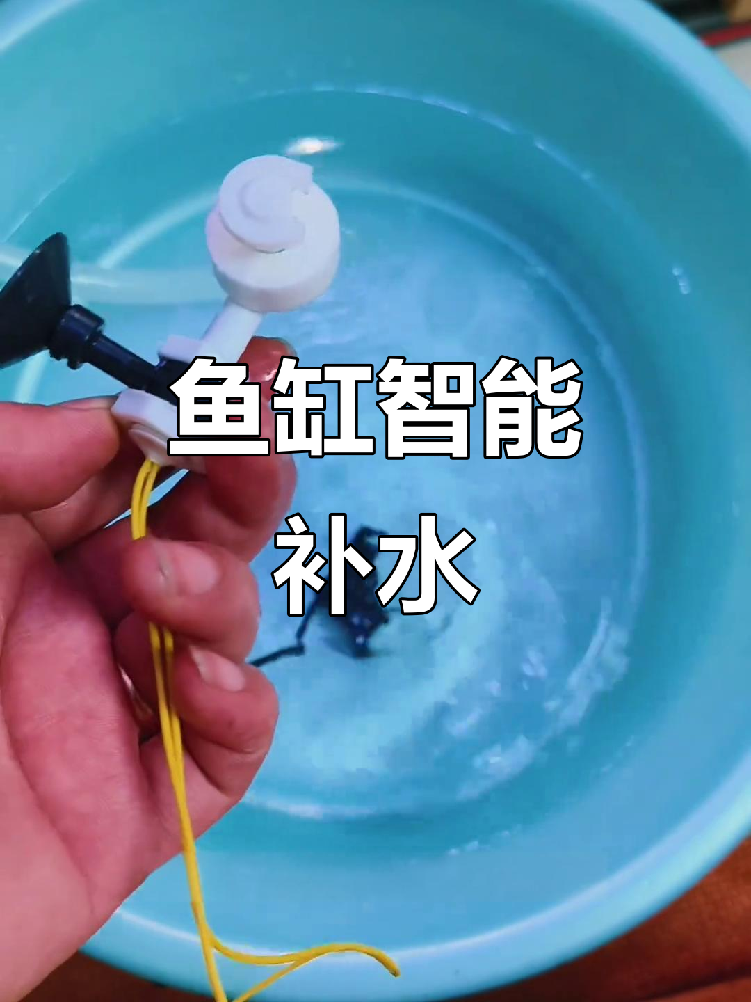 夏天鱼缸水蒸发快,装个智能补水器,出差也放心!