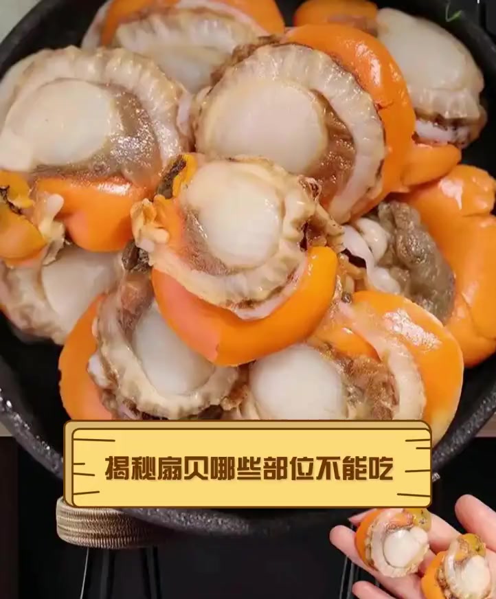 揭秘扇贝哪些部位不能吃