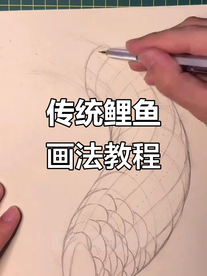 鲤鱼鳞片绘制技巧大揭秘,透视与细节全解析