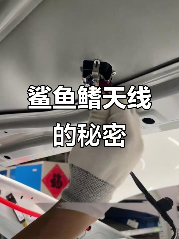 鲨鱼鳍天线不止是装饰,原来还有这些功能!