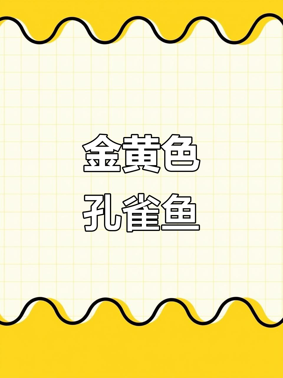 黄金鳞片孔雀鱼,独特金条礼服展示