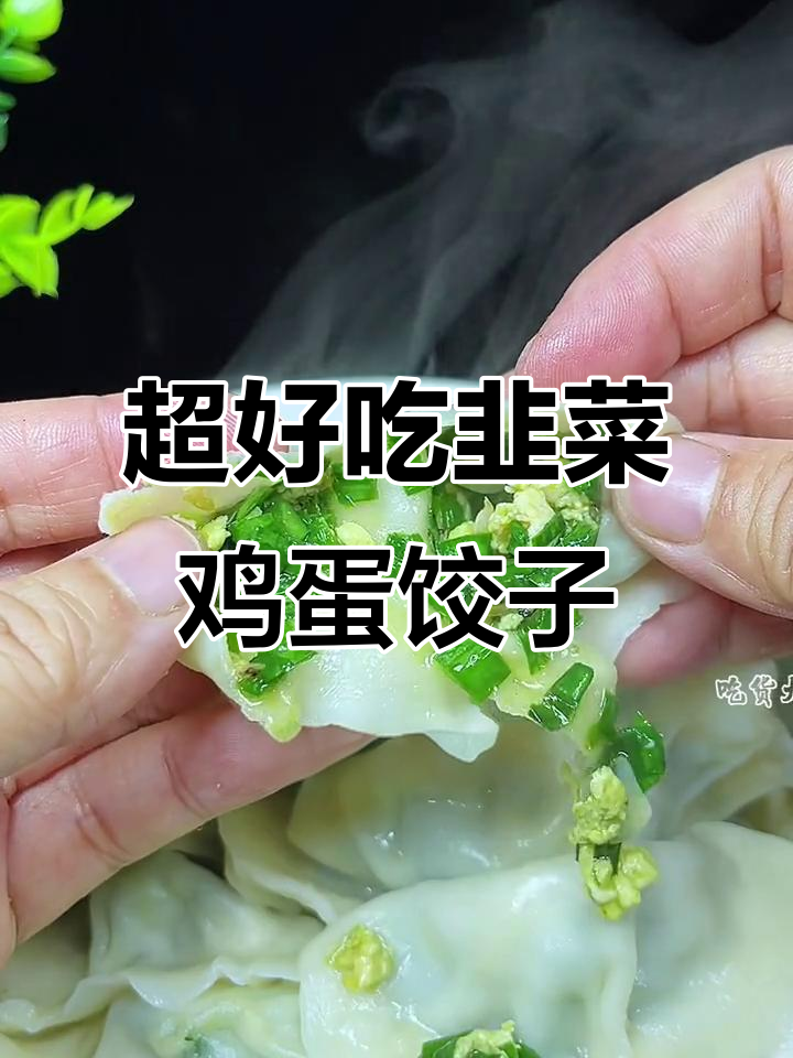 冬至必备！韭菜鸡蛋海米饺子，鲜香四溢做法超简单
