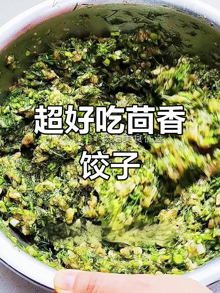 茴香猪肉馅饺子，鲜嫩美味一口一个肉丸