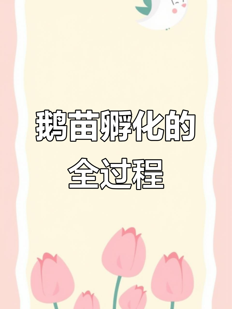 鹅苗孵化场揭秘:从脱温到成长的秘密