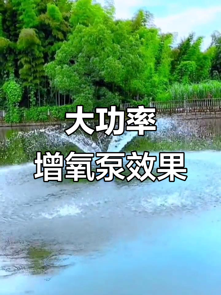 鱼塘增氧浮水泵,打造美丽喷泉景观