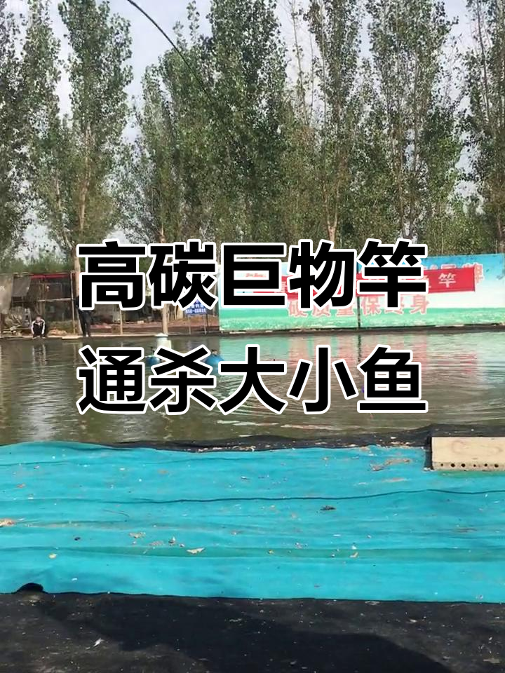 青鲟至尊三代高碳竿,轻松应对各种水域大鱼挑战