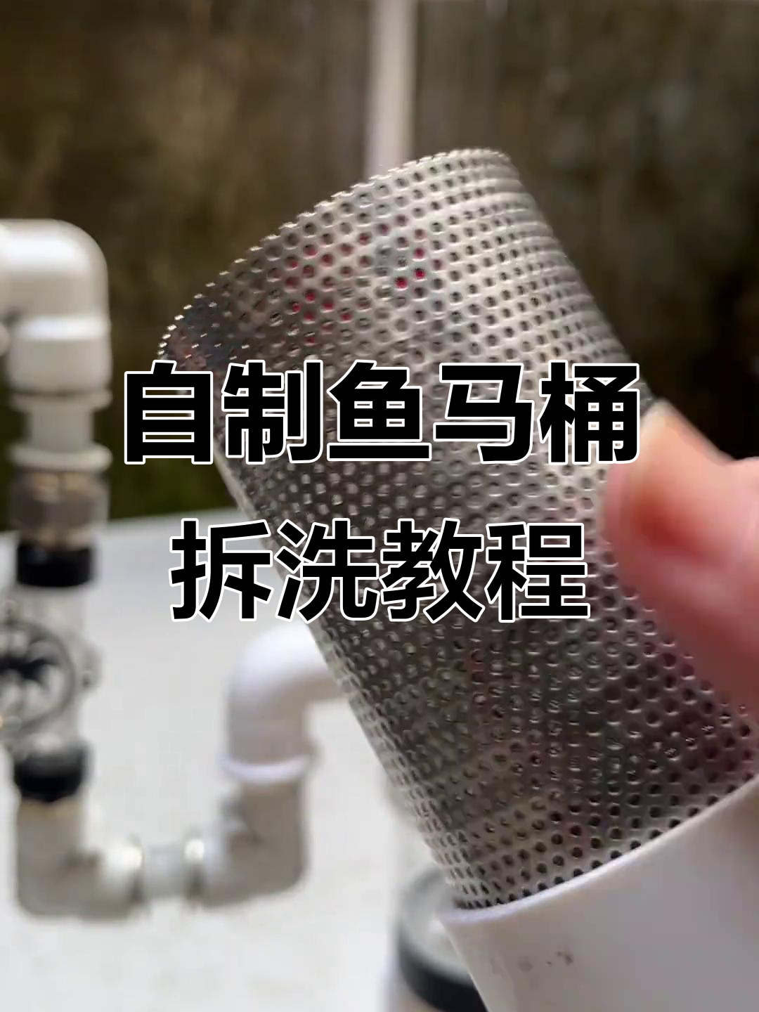 鱼马桶滤网清洗全流程,简单几步恢复原样