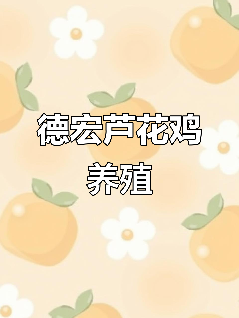 德宏州芦花鸡养殖基地揭秘:自由放养与五谷杂粮喂养