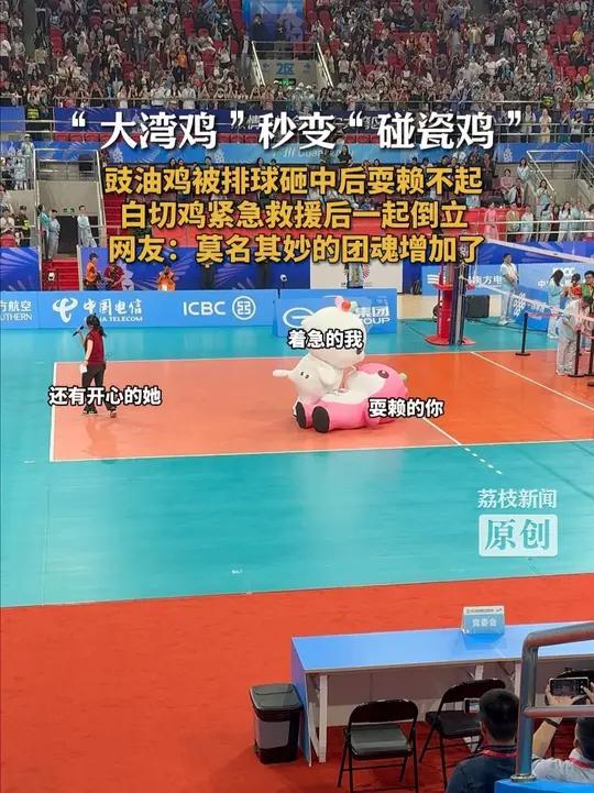 「“大湾鸡”秒变“碰瓷鸡” 豉油鸡被排球砸中后耍赖不起 白切鸡紧急救援后一起倒立 网友:莫