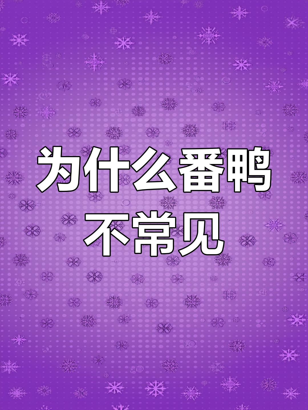 番鸭为何少人养?肉质虽好,但繁殖能力低、攻击性强