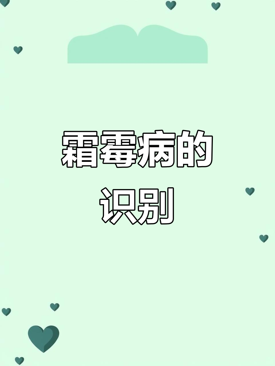 霜霉病症状解析：菜心小白菜的黄斑与白霉现象