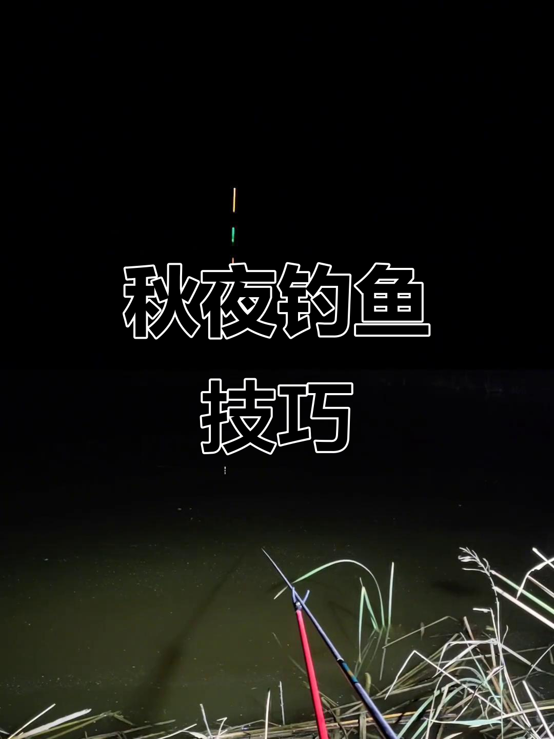 秋天夜钓,轻口鱼吃饵动作微弱,调漂技巧很重要!