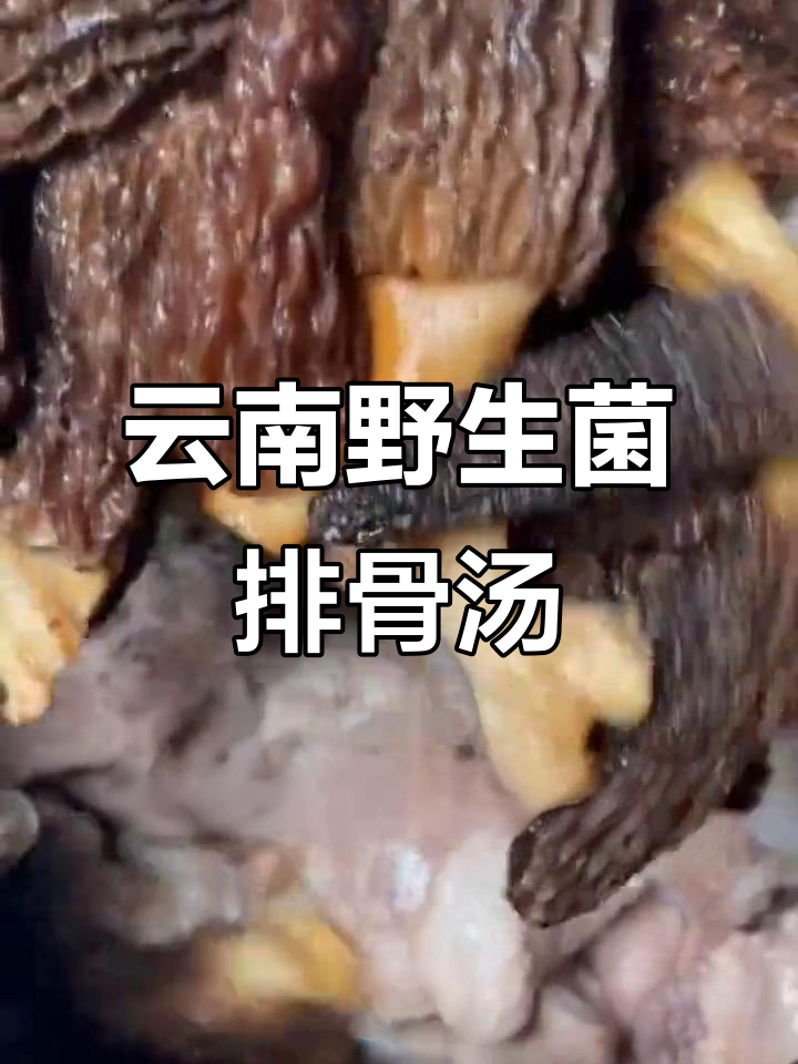 七彩云南野生菌排骨汤，羊肚菌的独特美味