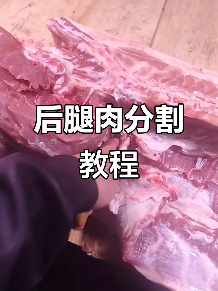轻松掌握后腿肉分割技巧,骨头找法全揭秘