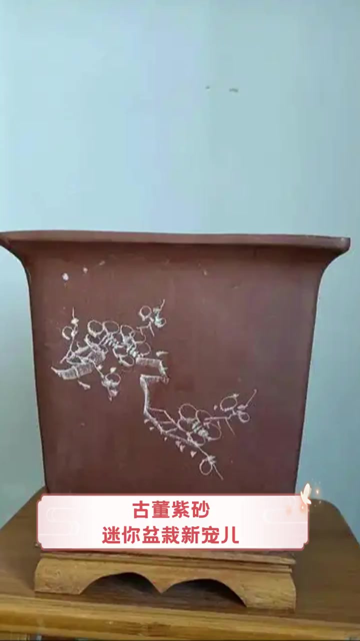 古董紫砂,迷你盆栽新宠儿