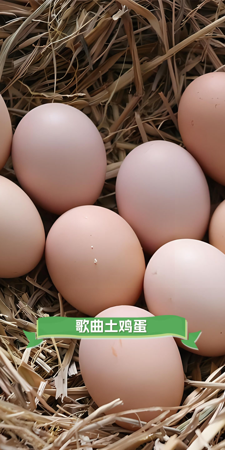 歌曲土鸡蛋