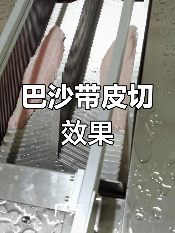 带皮巴沙鱼切片展示,效果惊艳水产加工厂