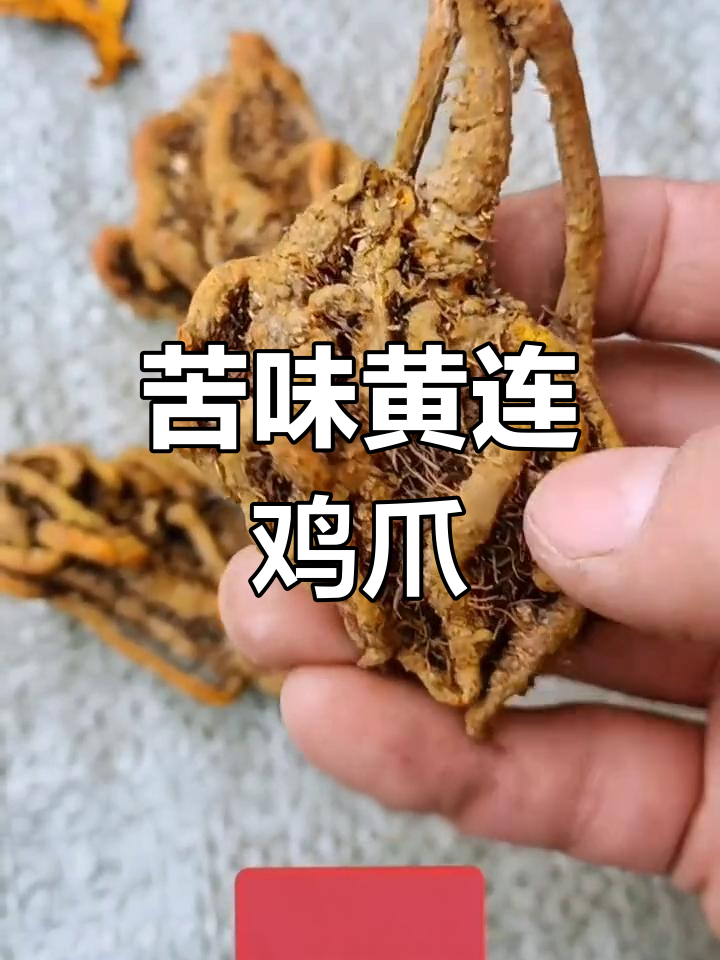 黄连鸡爪根，手工精选川黄连