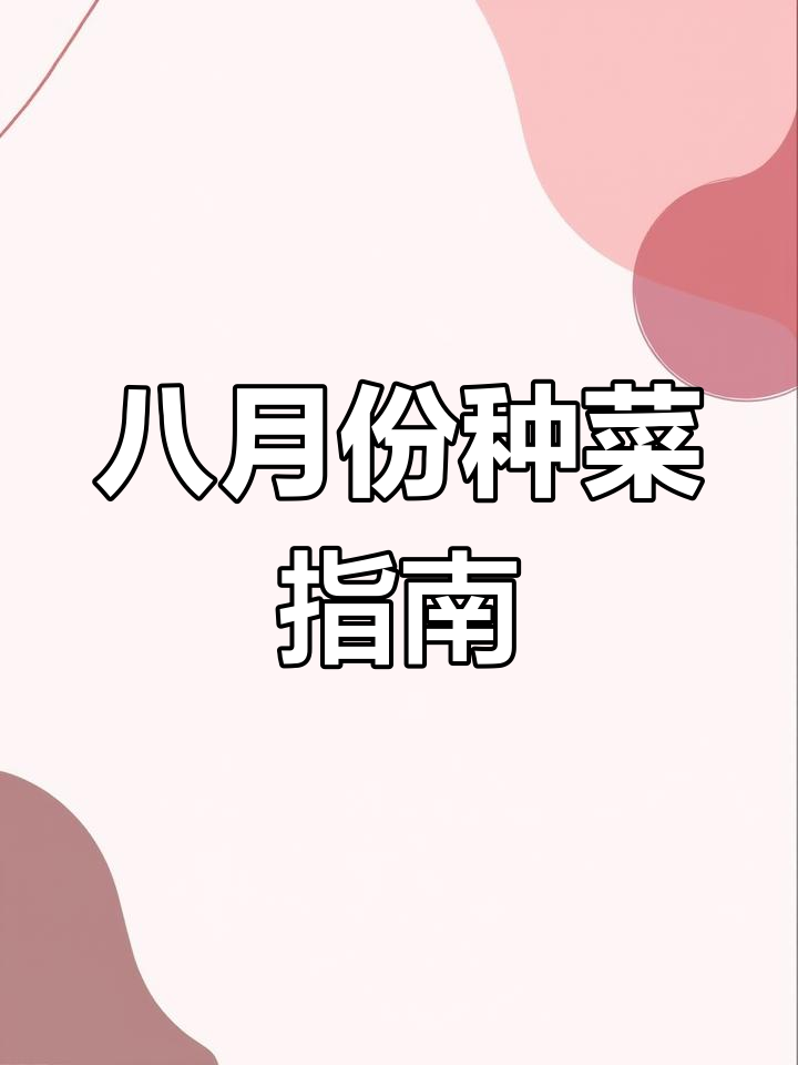 南方八月适合种植的蔬菜推荐