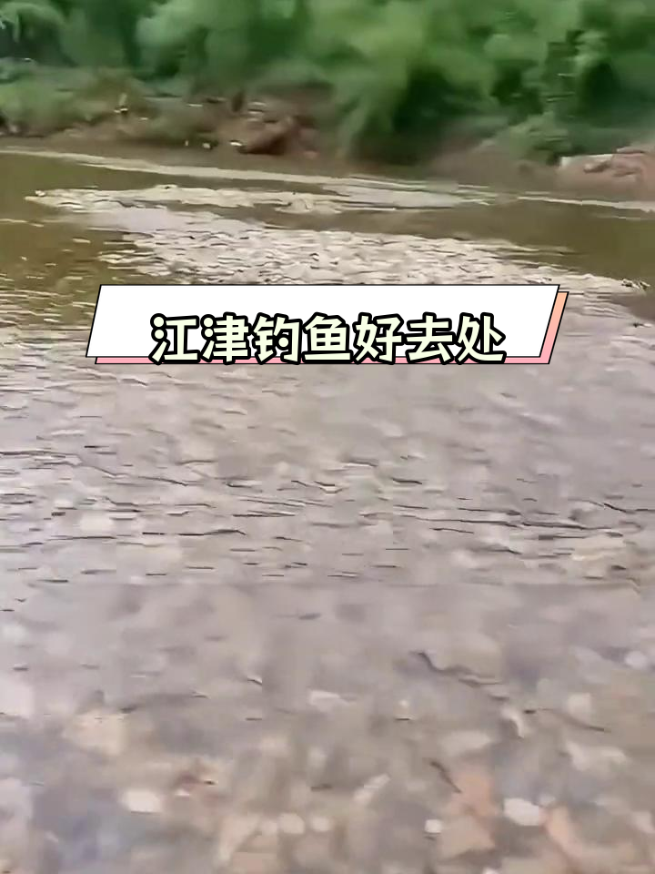 江津附近10公里钓点推荐,马口鱼多水质好