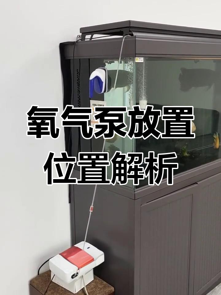 氧气泵为何要放鱼缸上方