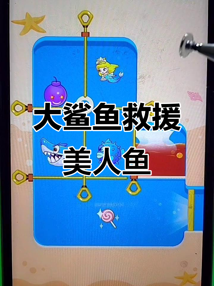美人鱼被困,大鲨鱼来救!