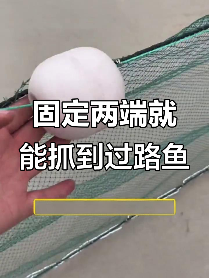 虎口网拦河捕鱼,轻松回本!