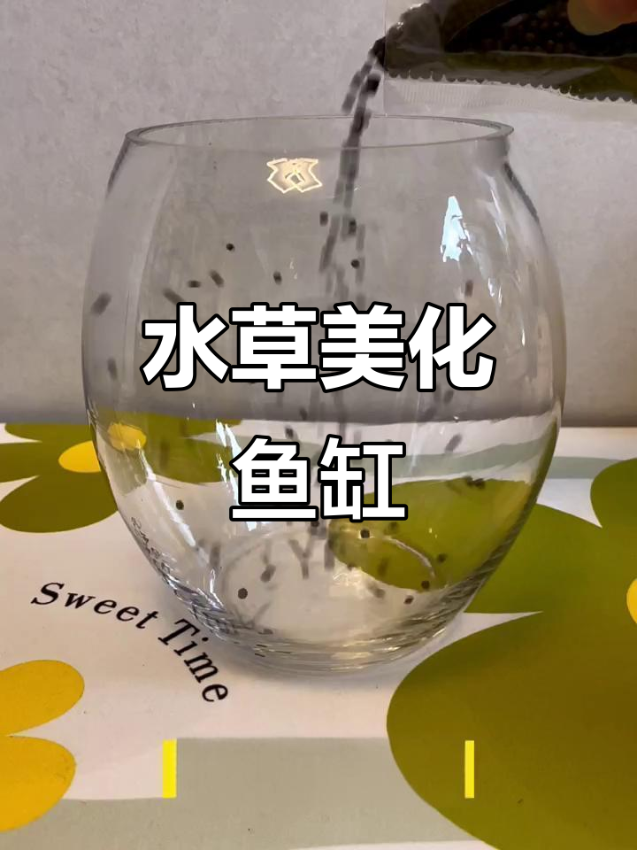 闲置鱼缸变美景，水草与鱼儿让生活更添生机！