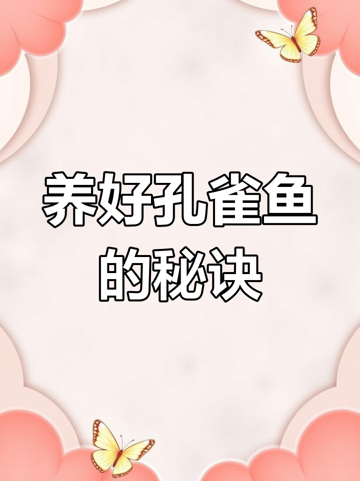 孔雀鱼养殖全攻略:如何保持水质