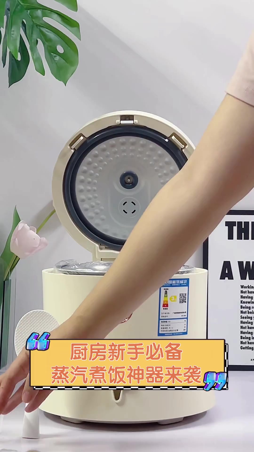 厨房新手必备,蒸汽煮饭神器来袭