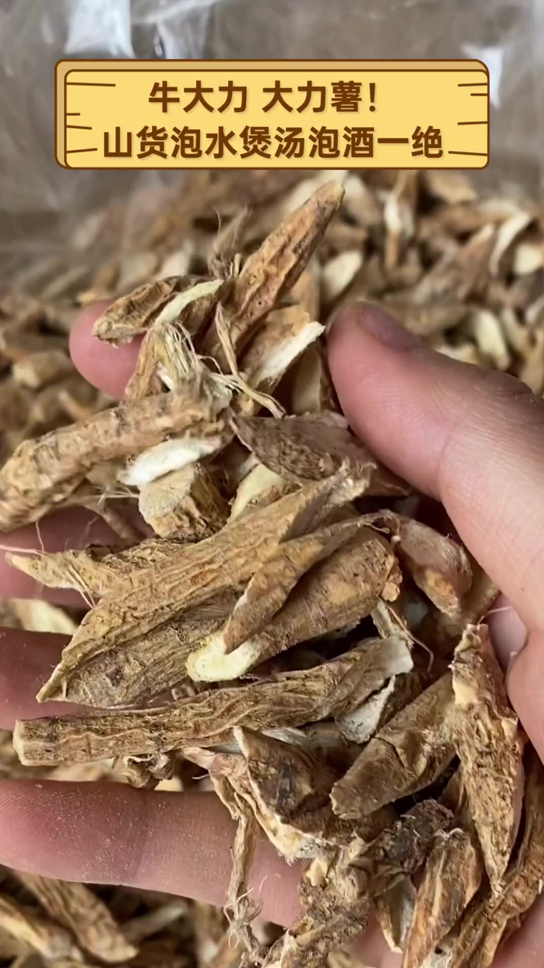 牛大力,大力薯!山货泡水煲汤泡酒一绝