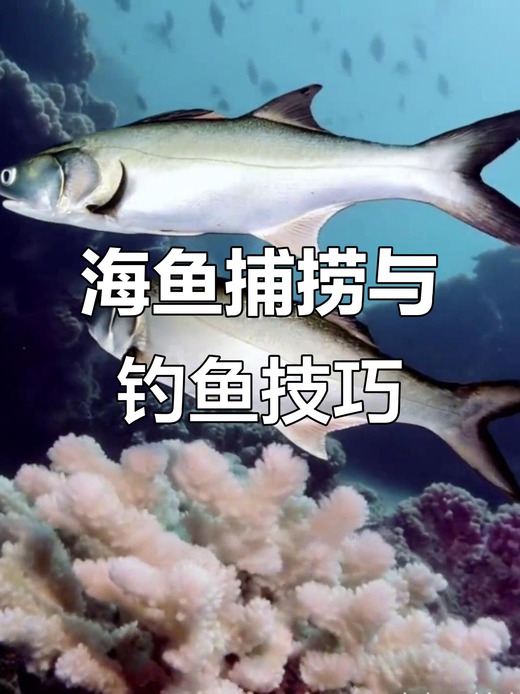 南方海鱼捕捞技巧大揭秘,浅海滩涂钓法全解析