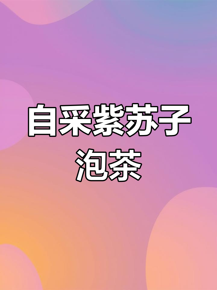 紫苏子炒制技巧,香气扑鼻的茶味体验