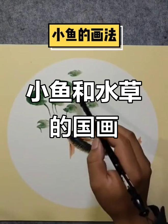 画小鱼与水草,国画技巧轻松学