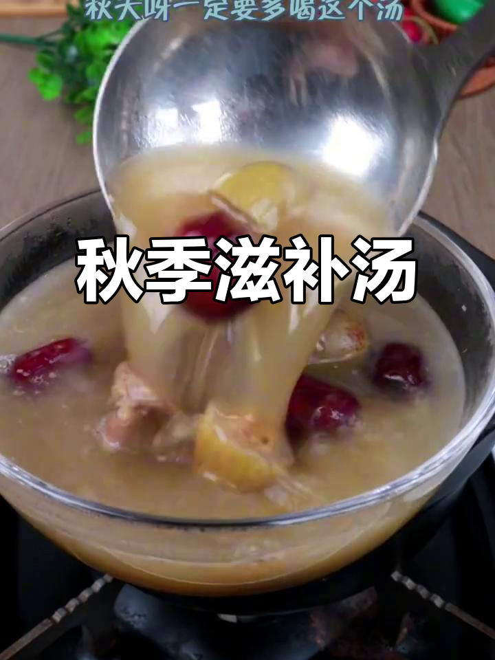 秋季常给孩子煲橄榄排骨汤,增强免疫力,提升食欲