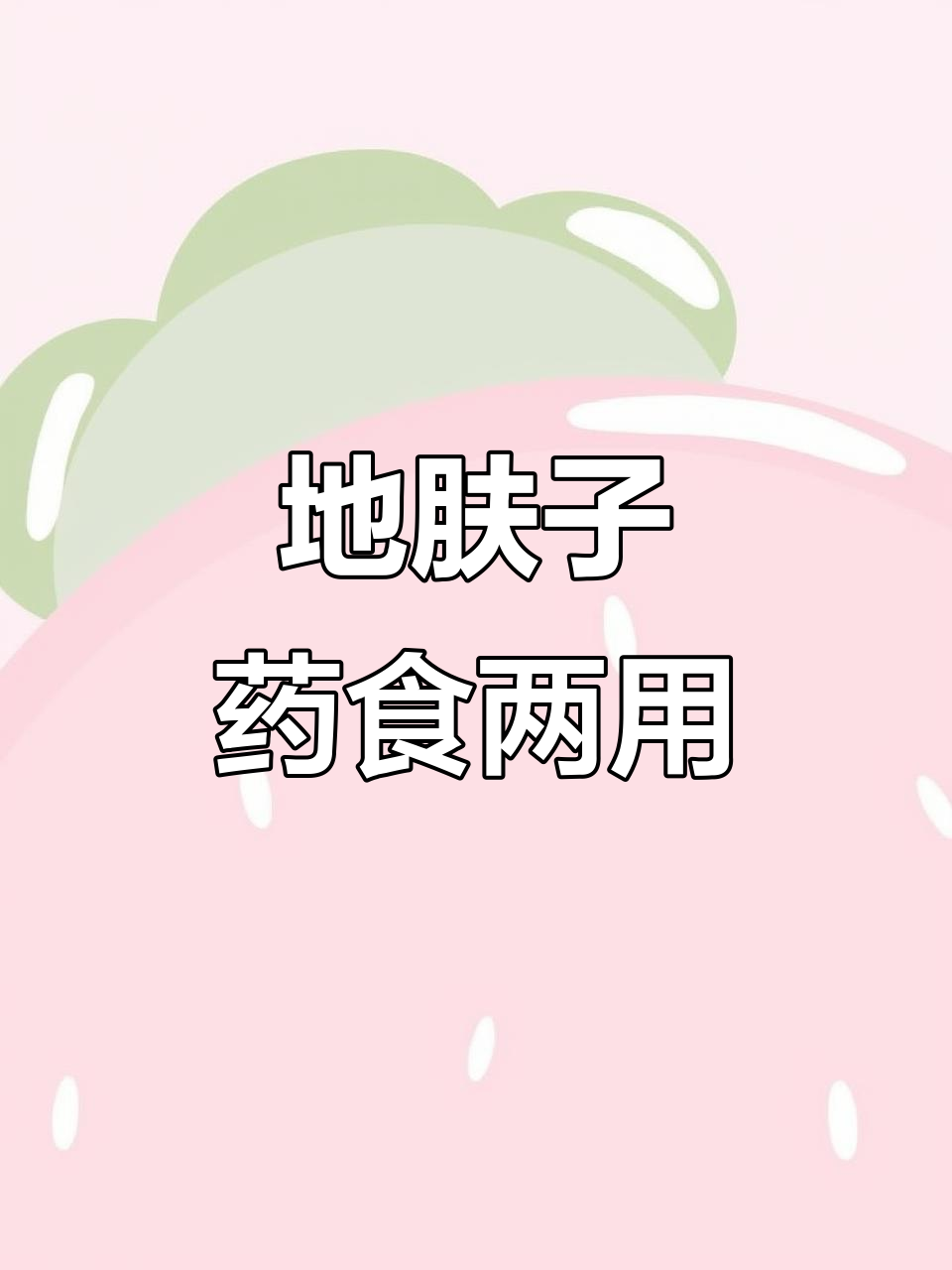 扫帚苗:从野菜到药材,夏日必备的宝藏植物