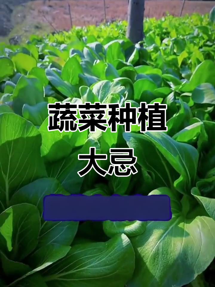 蔬菜搭配禁忌,种在一起后果严重!