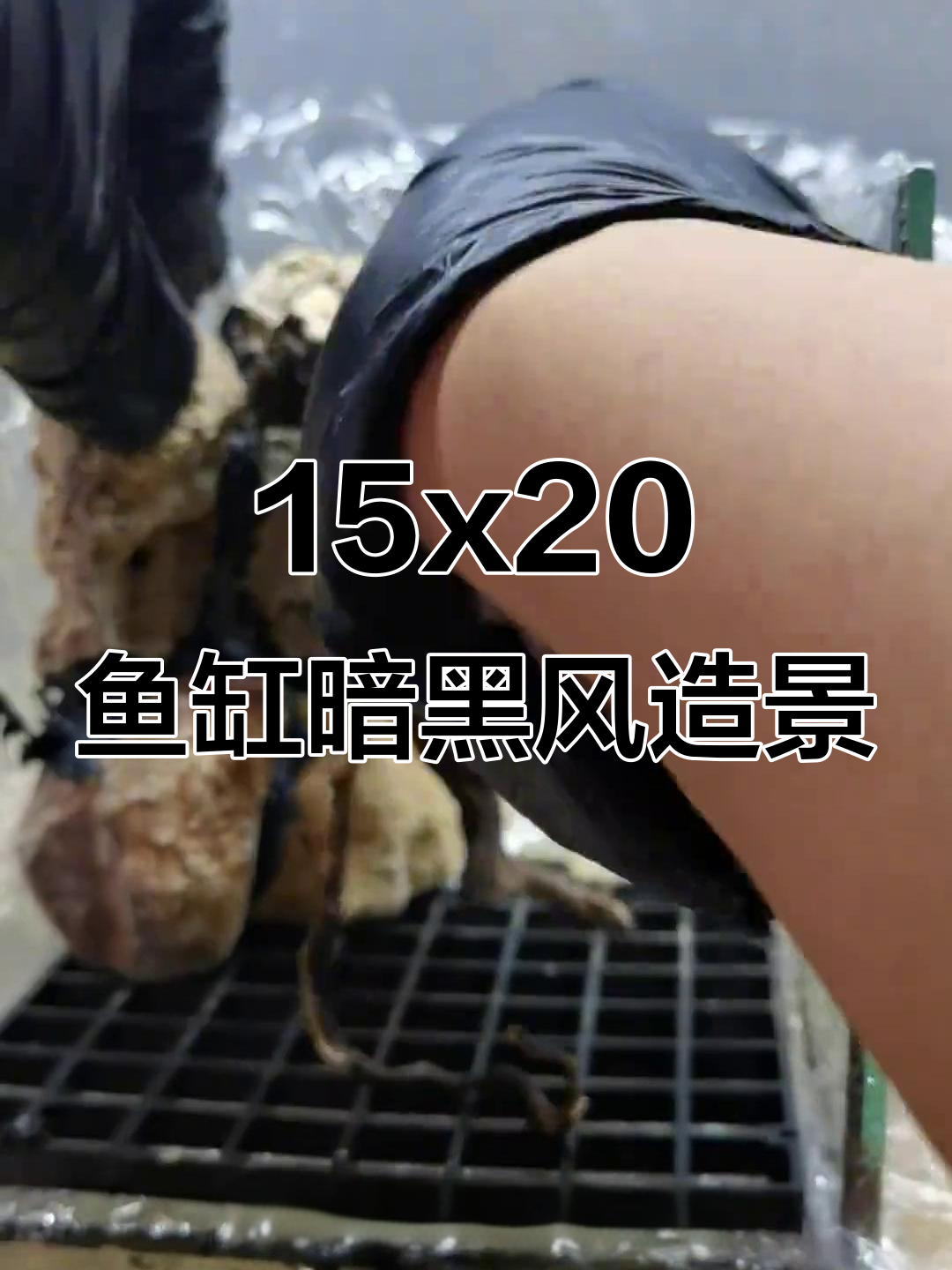 15X20鱼缸造景，黑暗风格河岸景观打造