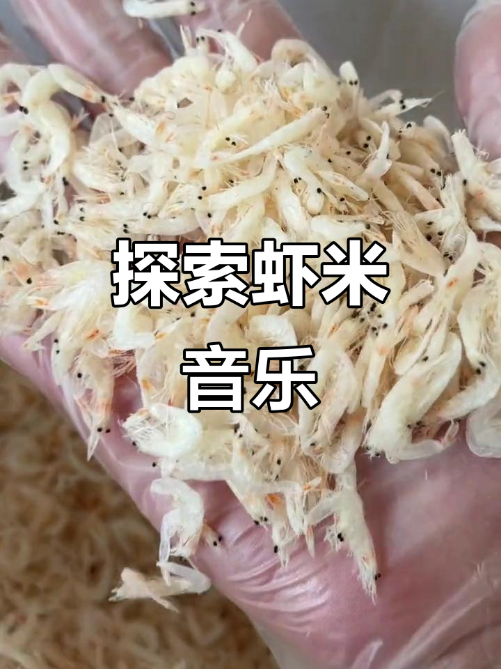 虾米音乐,带你发现更多好声音