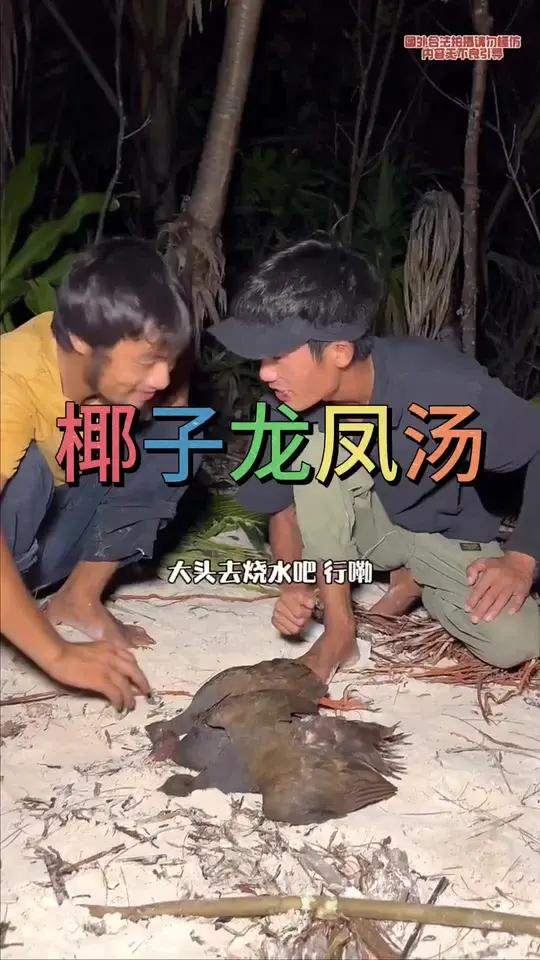 今天我们运气不错,陷阱抓到几只野鸡和一只龙虾,后来把它炖了一个味道,真的太鲜了