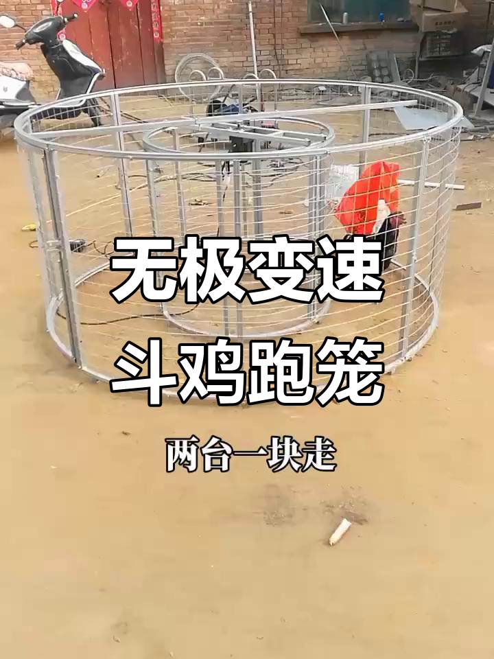 无极变速斗鸡跑笼,速度可调刺激有趣