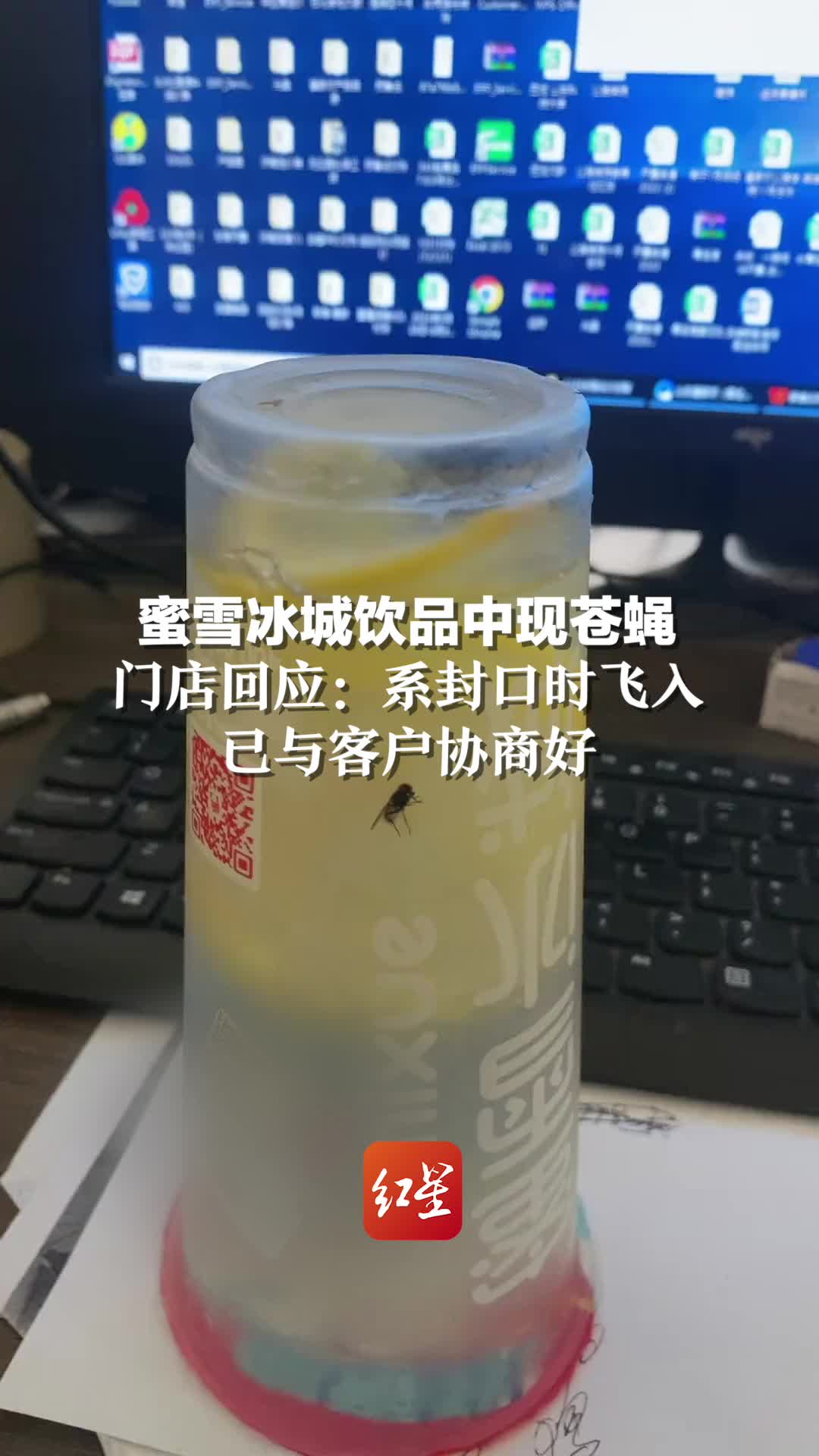 蜜雪冰城饮品中现苍蝇,门店回应:系封口时飞入,已与客户协商好